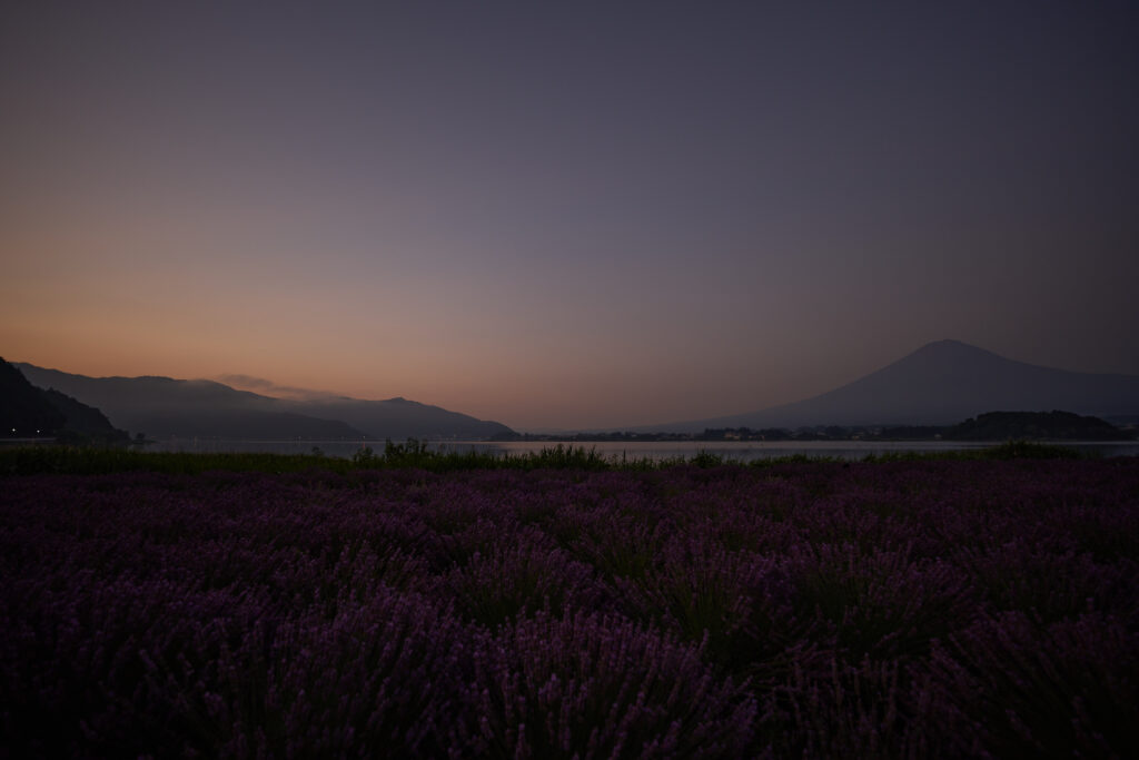 朝もやに浮かぶ富士山
