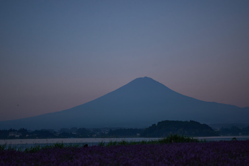 朝もやに浮かぶ富士山。手前は河口湖とラベンダー。